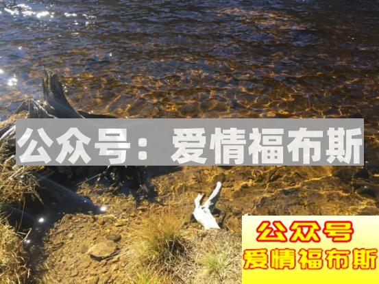 你过的好不好，我只能从朋友圈里知道第11张