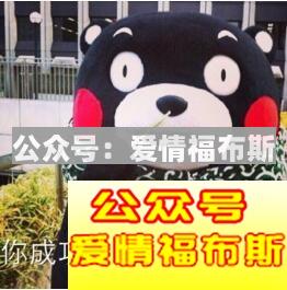 这五个理由只是女生拒绝你的借口