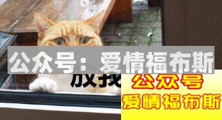 单身这么多年的原因终于找到了第3张