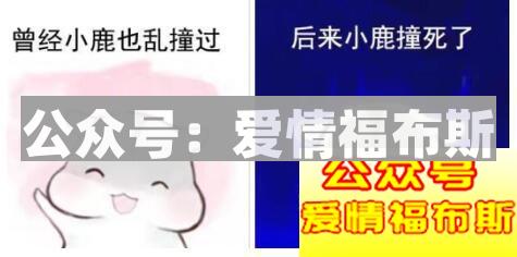 怎样向一个女人表达强烈的爱意？第3张
