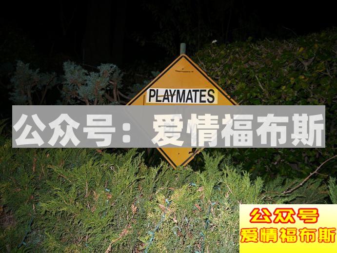 传说中的美国花花公子的生活到底是怎样的？第15张