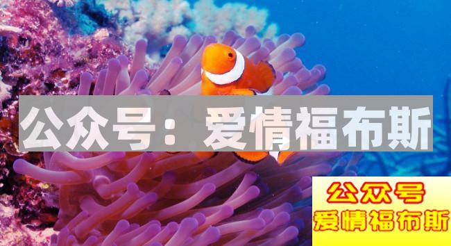 情侣例行公事般的房事,关系还能坚持多久?第2张