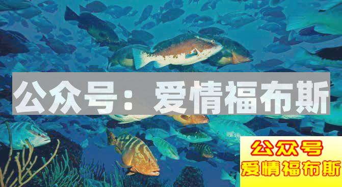 情侣例行公事般的房事,关系还能坚持多久?第3张