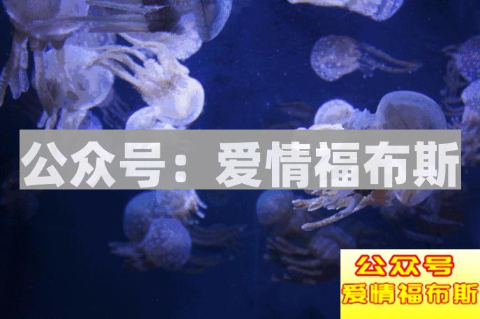 情侣例行公事般的房事,关系还能坚持多久?