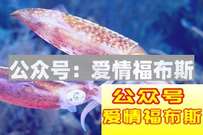 情侣例行公事般的房事,关系还能坚持多久?第5张
