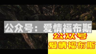 觉得金刚比男朋友好的请进来