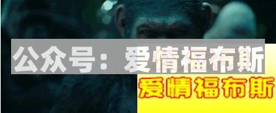 觉得金刚比男朋友好的请进来第3张