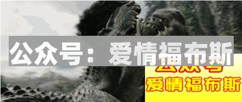 觉得金刚比男朋友好的请进来第6张