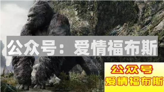 觉得金刚比男朋友好的请进来第4张