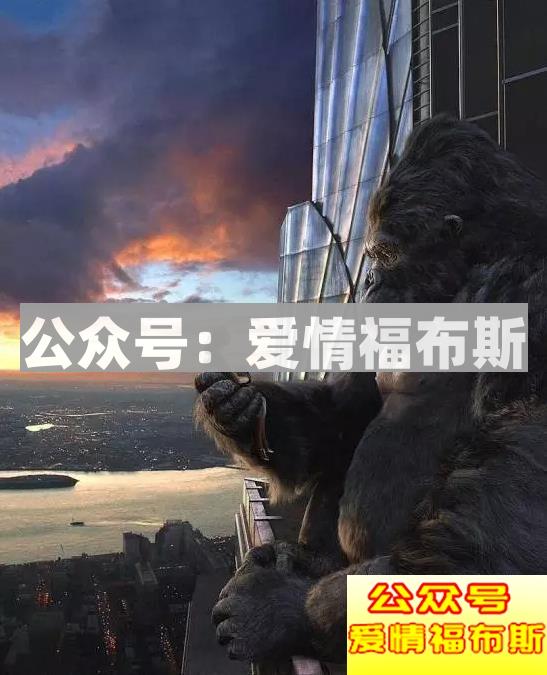 觉得金刚比男朋友好的请进来第11张