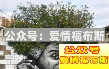 战争中的硝烟与“炮火”第7张