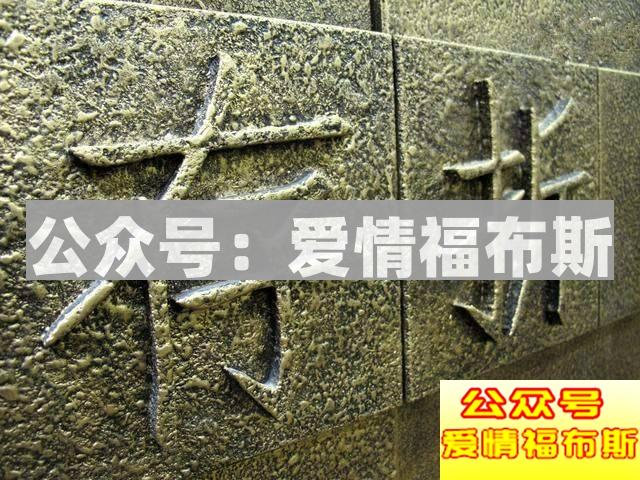 血腥传销：割裂了一个母亲最柔软的地方第2张