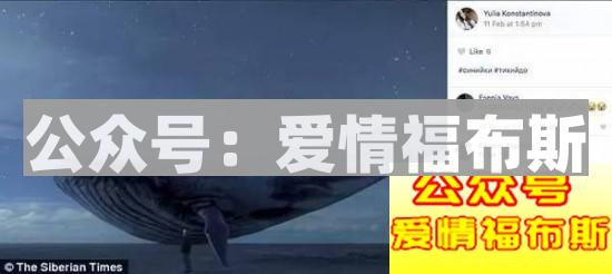 这世界没有陌路，你从不曾孤独第5张