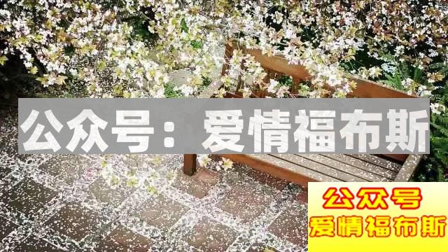 成都民宿：一个人的旅途变成两个人的相逢第4张