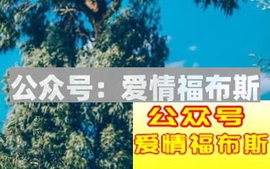 追狮子座女生的技巧,光有好身体还不行