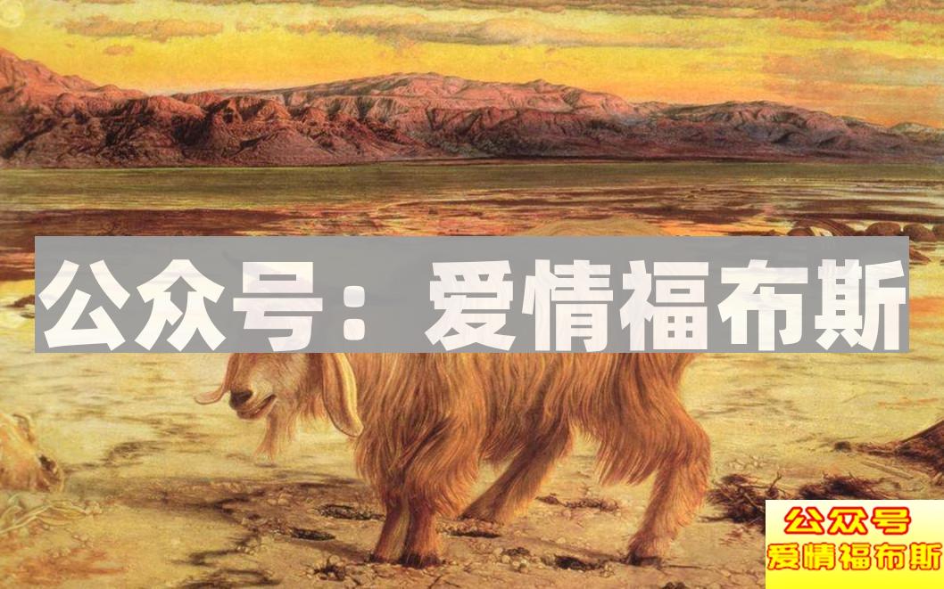 简洁明了的相亲网站防骗指南第7张