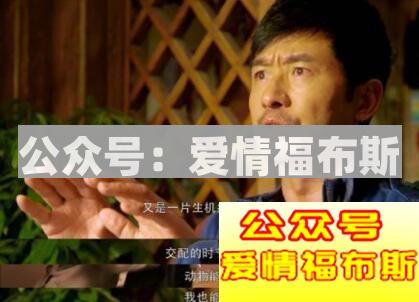 男人最想做的就是把可爱的姑娘追到手第1张