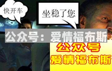 让白马识途，来我们“车震”第3张