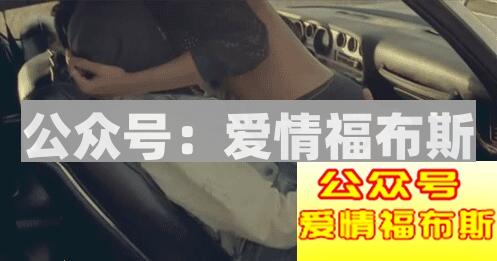 让白马识途，来我们“车震”第5张