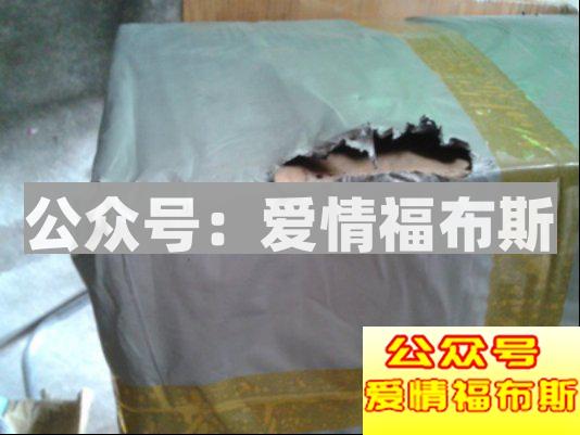 我老婆是个充气娃娃第9张