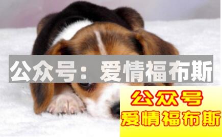 有哪些套路女生不但不反感反而还愿意和你升高关系第1张