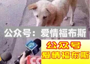 发照片秀恩爱，为什么容易分得快