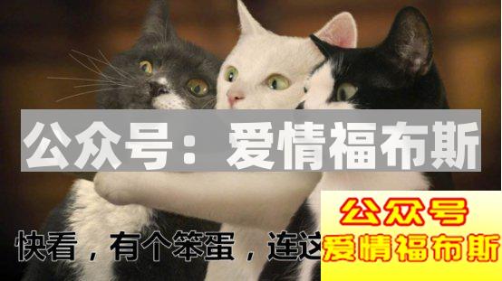 2017年撩汉期末考：“直女”自测(全国卷)第11张