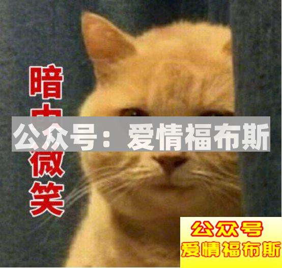 2017年撩汉期末考：“直女”自测(全国卷)第13张