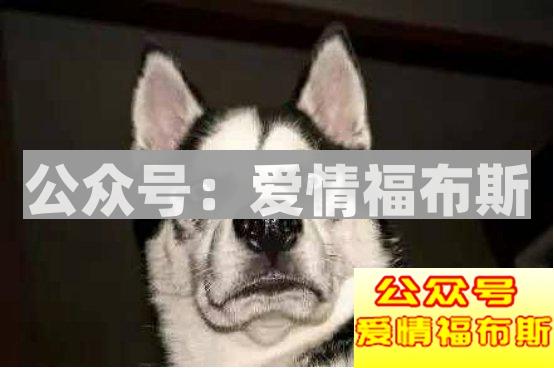 2017年撩汉期末考：“直女”自测(全国卷)第14张