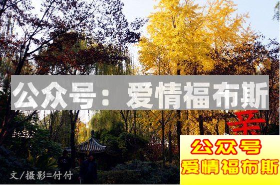 她最后去了相亲角第19张