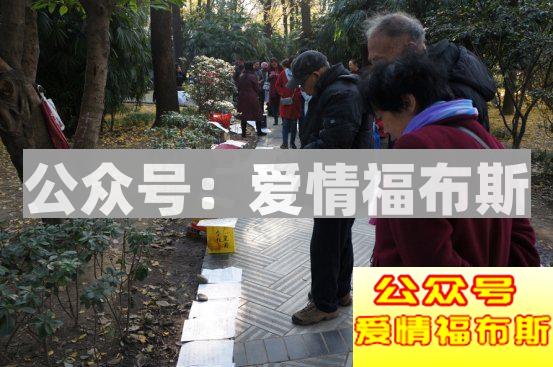 她最后去了相亲角第25张