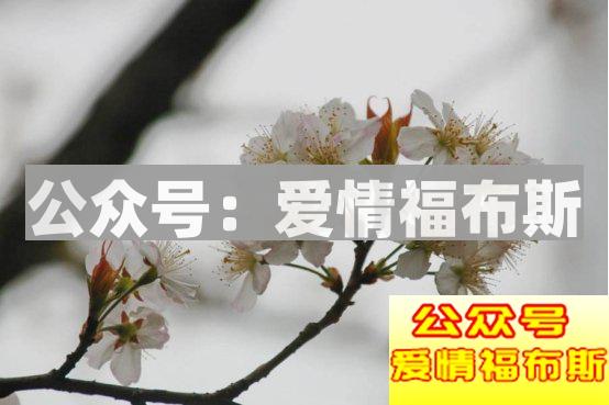 她最后去了相亲角第32张