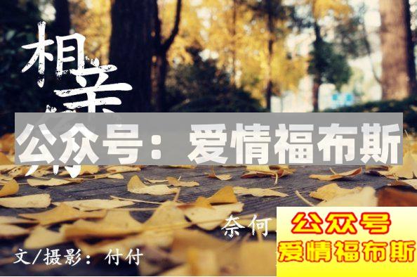 她最后去了相亲角第28张