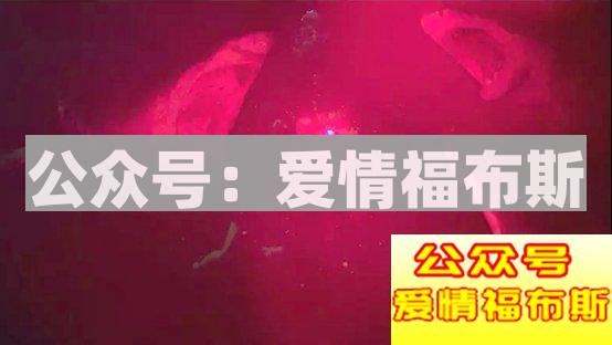 没什么比恐怖片更容易攻破女生的心理防线第3张