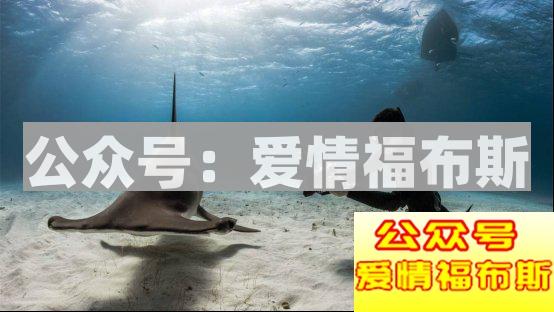 没什么比恐怖片更容易攻破女生的心理防线第8张