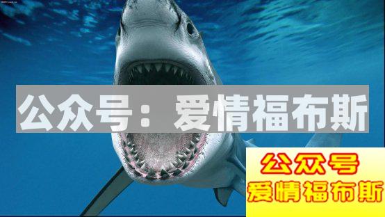 没什么比恐怖片更容易攻破女生的心理防线第7张