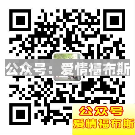 把妹三要素之天时篇第11张