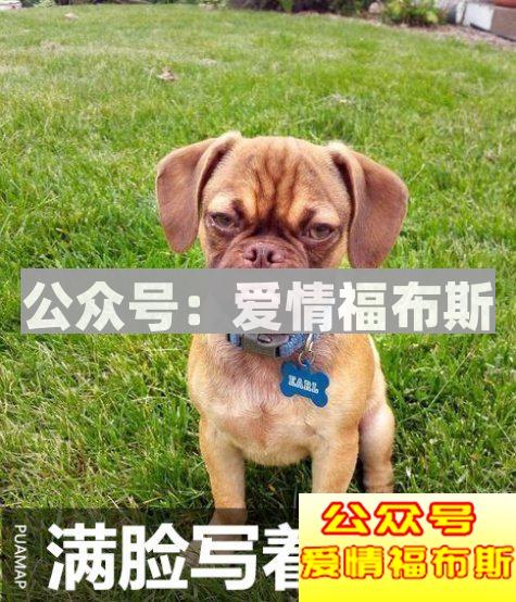 采访实录：浪迹5大美女如何博得一众男人心？第6张