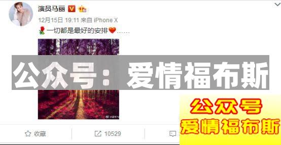 《妖铃铃》卖的，其实是情怀第13张