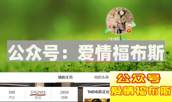 《妖铃铃》卖的，其实是情怀第18张