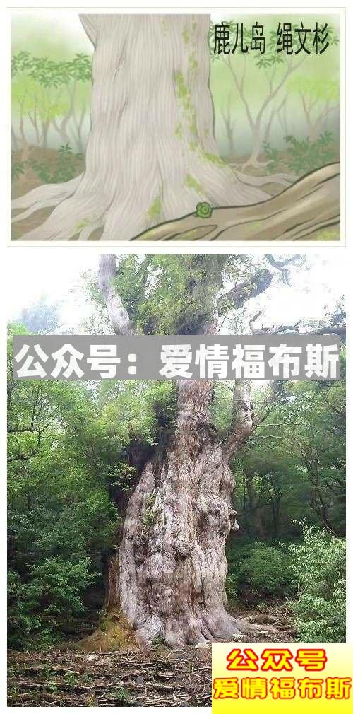 2018朋友圈攻略：恋爱没人疼，养蛙不回家第16张