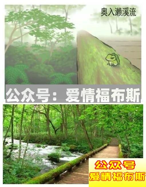 2018朋友圈攻略：恋爱没人疼，养蛙不回家第18张