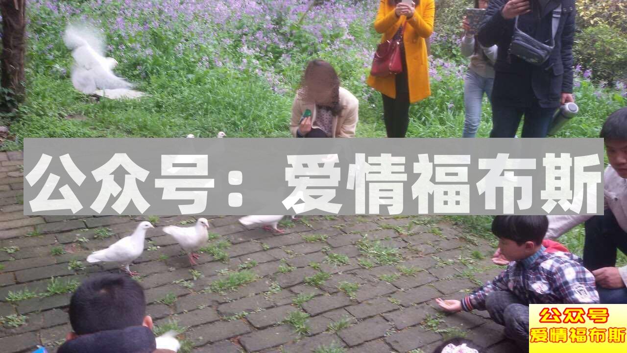 再见我的初恋，再次相见，我的初恋第2张