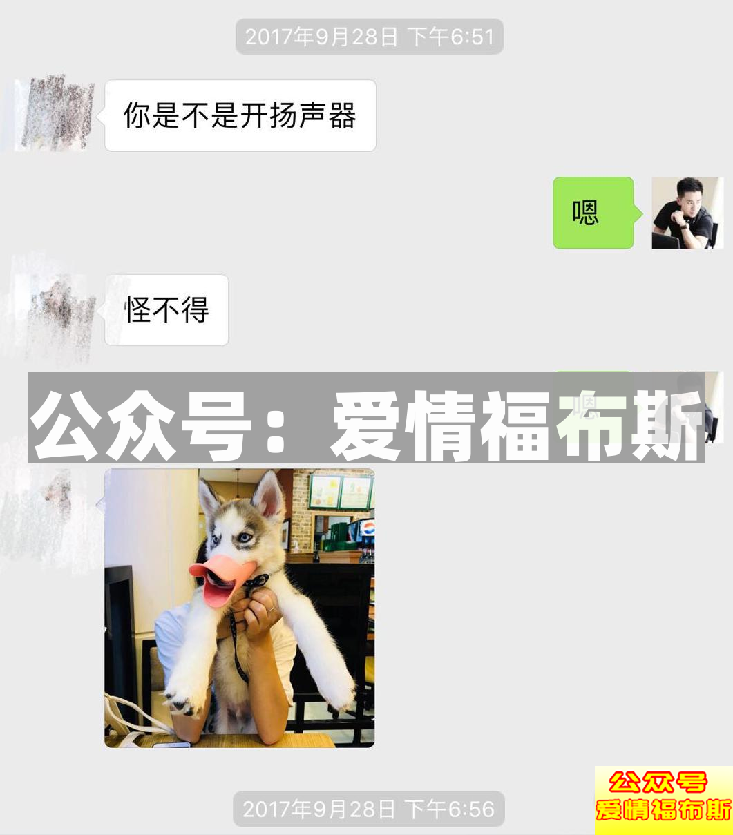 再见我的初恋，再次相见，我的初恋第13张