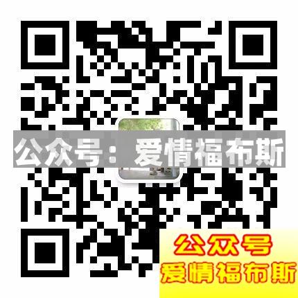 如果世界太危险，只有音乐最安全第14张