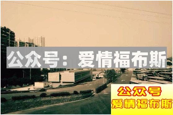 最好的前任，就该像死了一样安静第4张