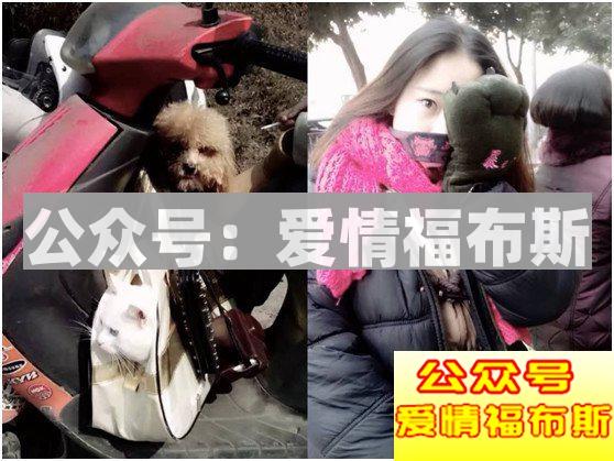 最好的前任，就该像死了一样安静第8张