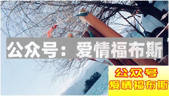 最好的前任，就该像死了一样安静第12张