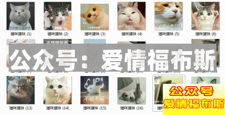 3000张撩妹表情包，脱单必备!!第12张