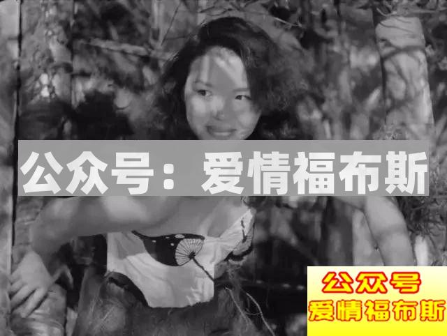 32个日本女人、1个男人，7年孤岛生活，揭露人性的阴暗!第2张